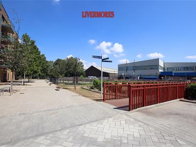 Picture 14